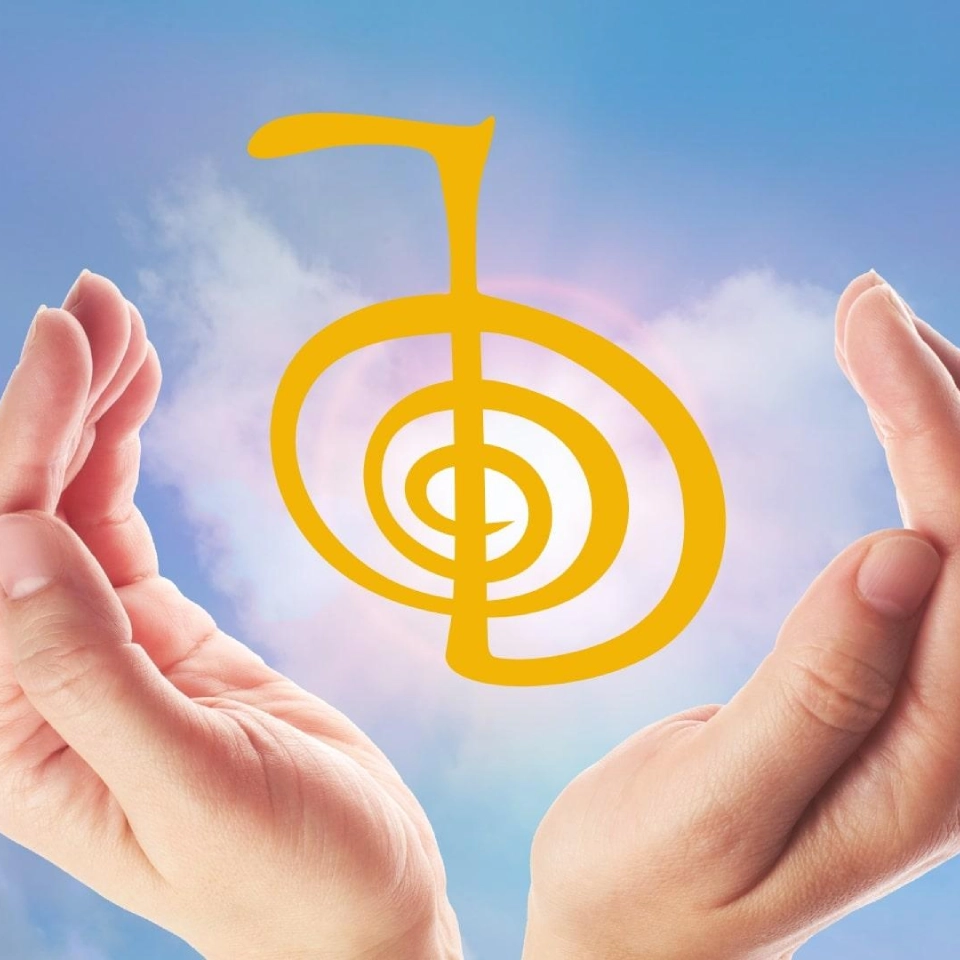 Quantum Healing Blood Cleanse