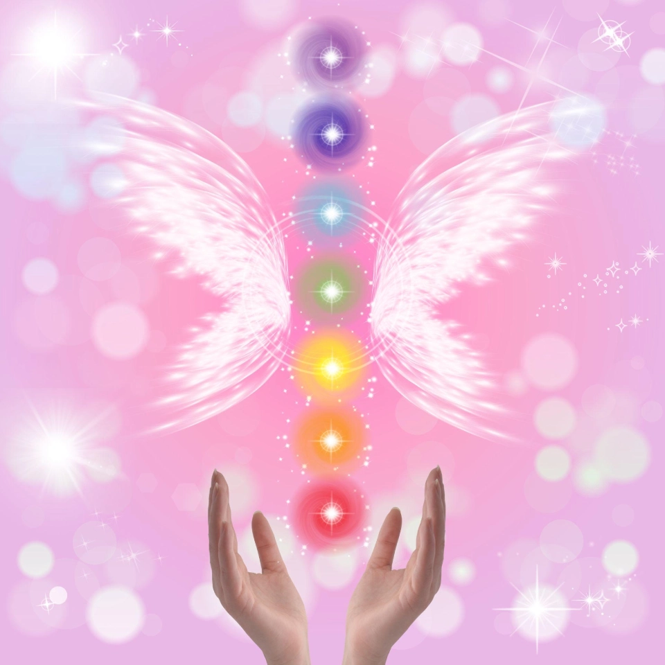 Trinity Transformation Program